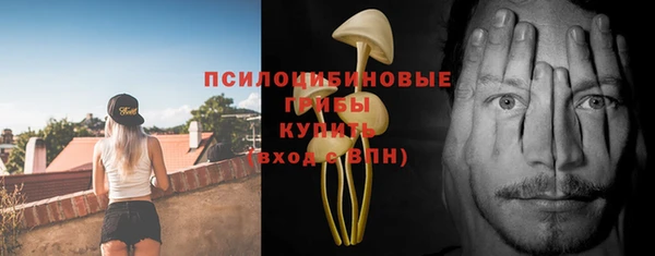 экстази Арсеньев