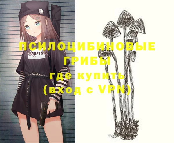 экстази Арсеньев