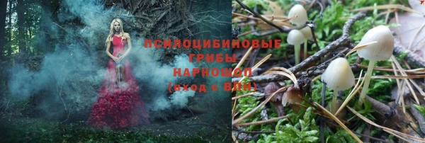 apvp Балахна
