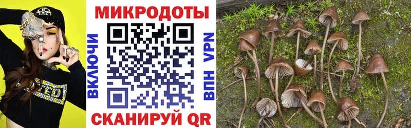 наркотики  Пролетарск  Псилоцибиновые грибы Magic Shrooms 