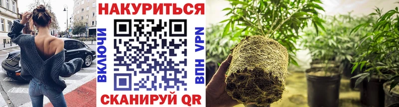Бошки марихуана OG Kush Пролетарск